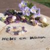 armband van ruwe amethist, rozenkwarts en bergkristal chips op een houten schijf met logo 'Heks en Maan', omringd door paarse bloemen en gedroogde planten