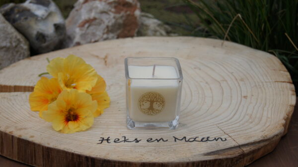 SONY DSC geurkaars levensboom