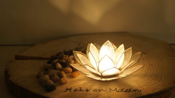 Sfeerlicht Lotus naturel met goudrand