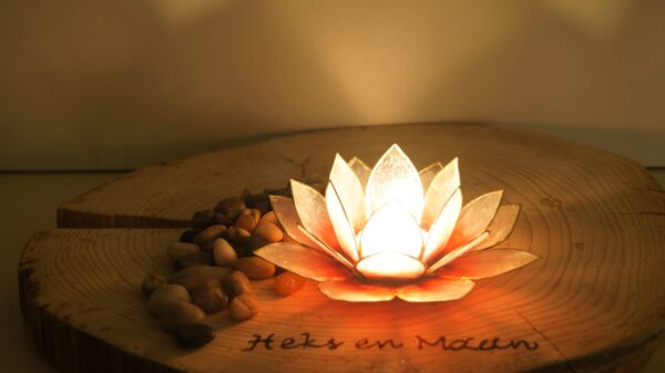 Sfeerlicht Lotus rood/roze met goudrand