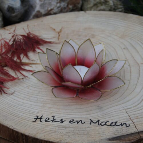Sfeerlicht Lotus rood/roze met goudrand
