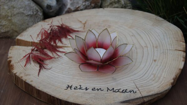 Sfeerlicht Lotus rood/roze met goudrand
