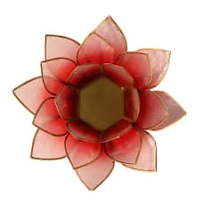 Sfeerlicht Lotus rood/roze met goudrand