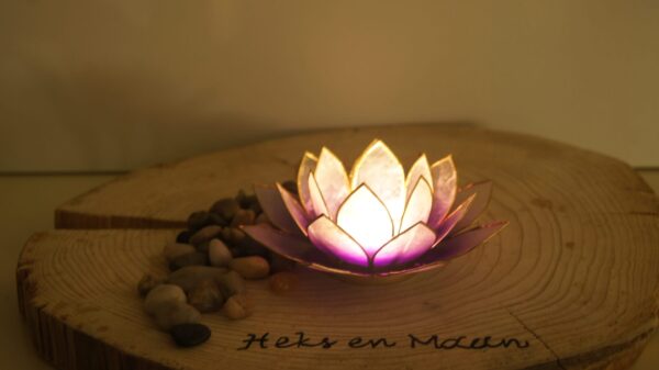 Sfeerlicht Lotus violet met goudrand