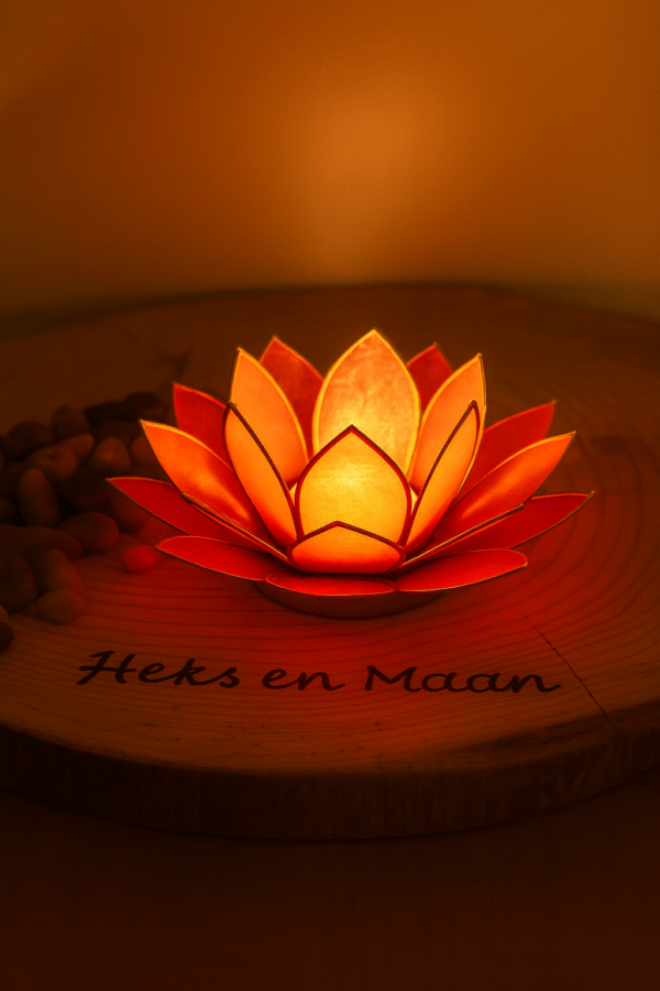 sfeerlicht lotus roze