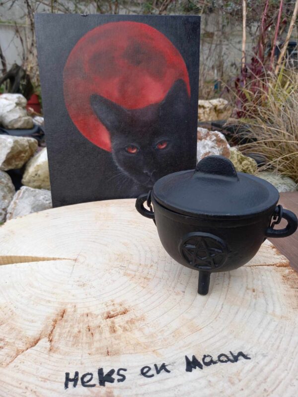 Cauldron (heksenketel) met pentagram