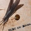 Gepolijste Tijgeroog knuffelsteen – spirituele steen voor zelfvertrouwen en besluitvorming
