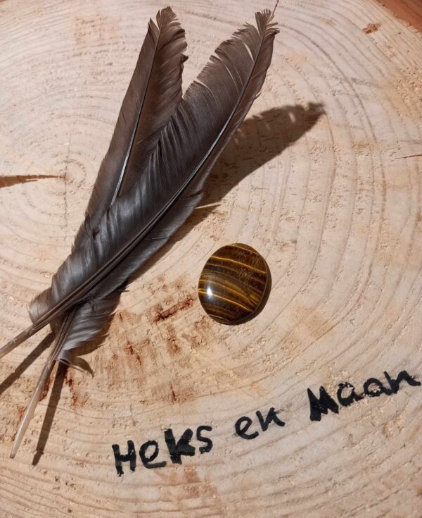 Gepolijste Tijgeroog knuffelsteen – spirituele steen voor zelfvertrouwen en besluitvorming